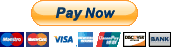 Pay Now Paypal